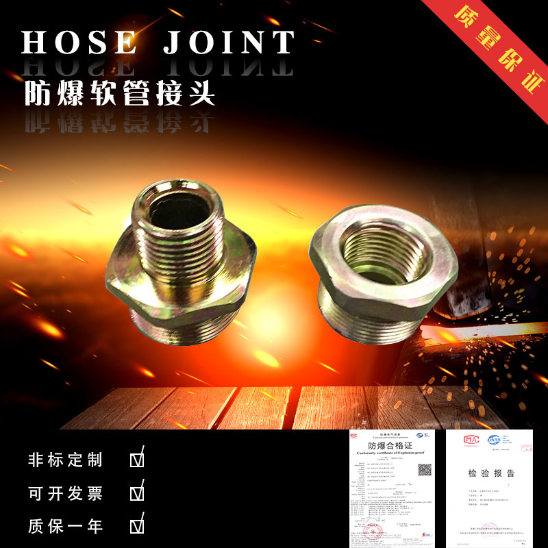 Explosion-proof flexible pipe head anti-explosion hose external wire head flexible connection pipe explosion proof diameter head