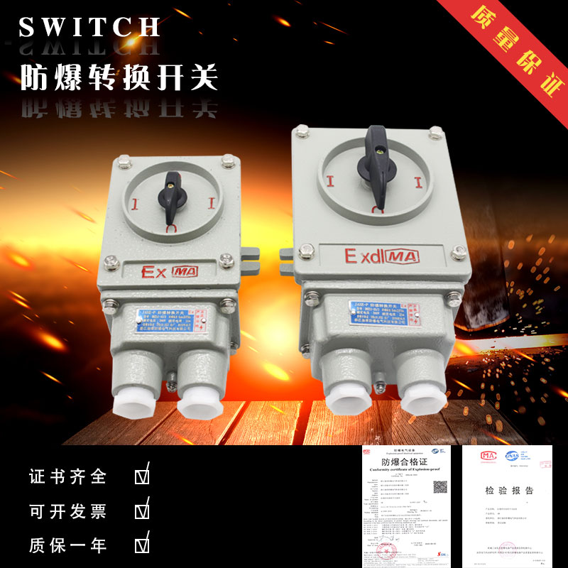 (flush-drilling special price) explosion-proof change-over switch BHZ51 explosion-proof switch inverted switch lighting switch
