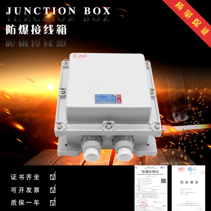Explosion-proof wiring box explosion-proof distribution box explosion-proof box 200 * 200 * 160MM Customize multiple specifications