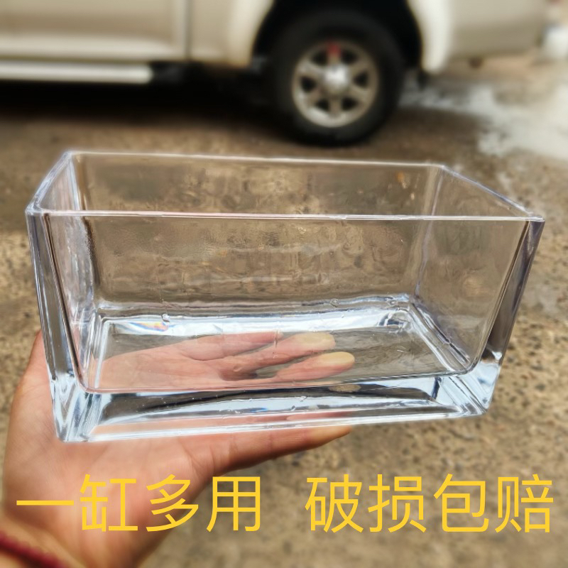 Rectangular Glass Fish Tank, Transparent and Thickened, Bare Tank for Hydroponic Plants, Goldfish Tank, Living Room Desktop Ornamental Small Fish Tank Rectangular Glass Fish Tank, Transparent and Thickened, Bare Tank for Hydroponic Plants, Goldfish Tank, Living Room Desktop Ornamental Small Fish Tank