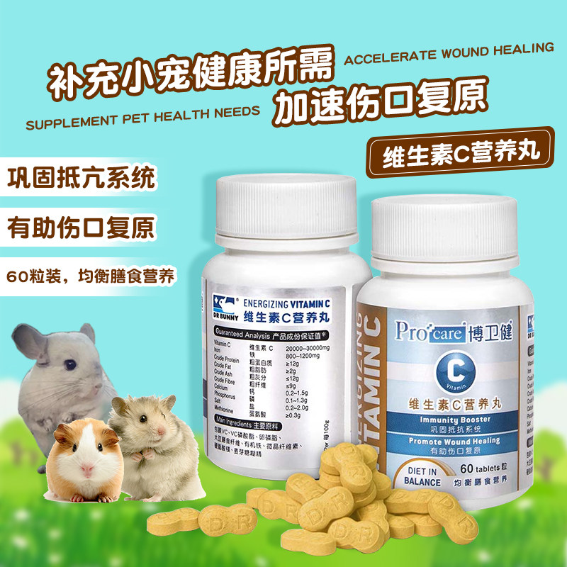 Dr. Rabbit's bodybuilding vitamin C Nutrient Pills 60 Grain Rabbit Dragon Cat Hamster Pig Guinea Pigs Health Products DR325