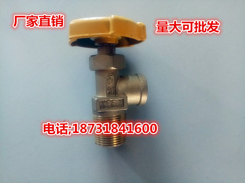 Gas steel bottle valve liquefied gas steel bottle angle valve switch liquefied gas steel bottle Anti-wire angle valve full copper thickened