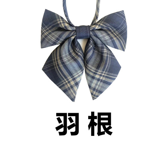 Pino Pocket bow tie