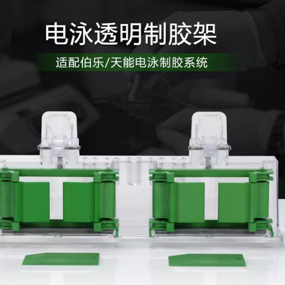 灌胶架wb制胶架Western伯乐电泳制胶架密封条BIO-RAD1653303夹子