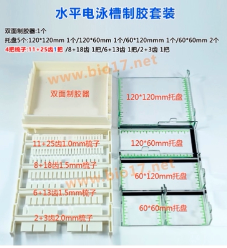 31DN型琼脂糖水平电泳槽核酸电泳仪带荧光标尺托盘六一伯乐天能
