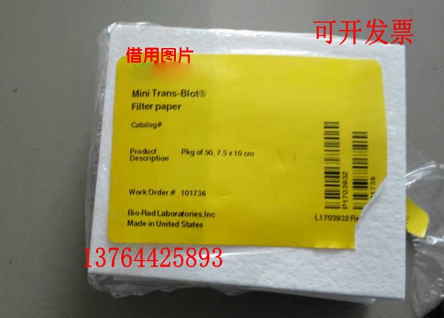 伯乐厚滤纸WB加厚转印滤纸 WesternBlot滤纸孵育盒宽头镊子转印夹