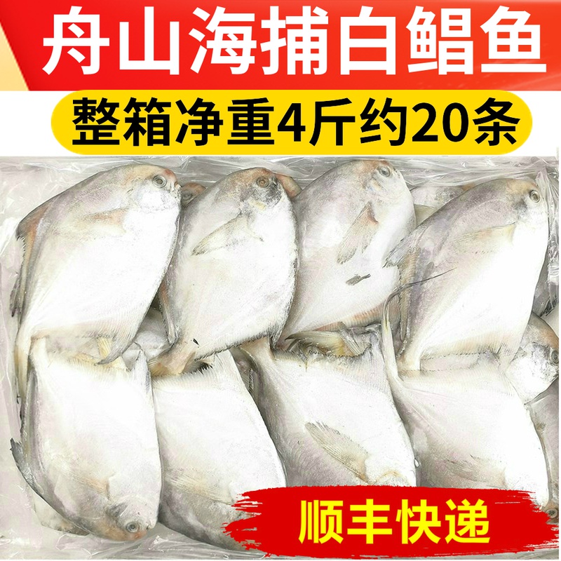 Zhoushan White Pomfret Fish Fresh Live Frozen Pomfret Marine Fish Deep Sea Fish Deep Sea Fish Frozen Seafood Aquatic Whole Box Commercial
