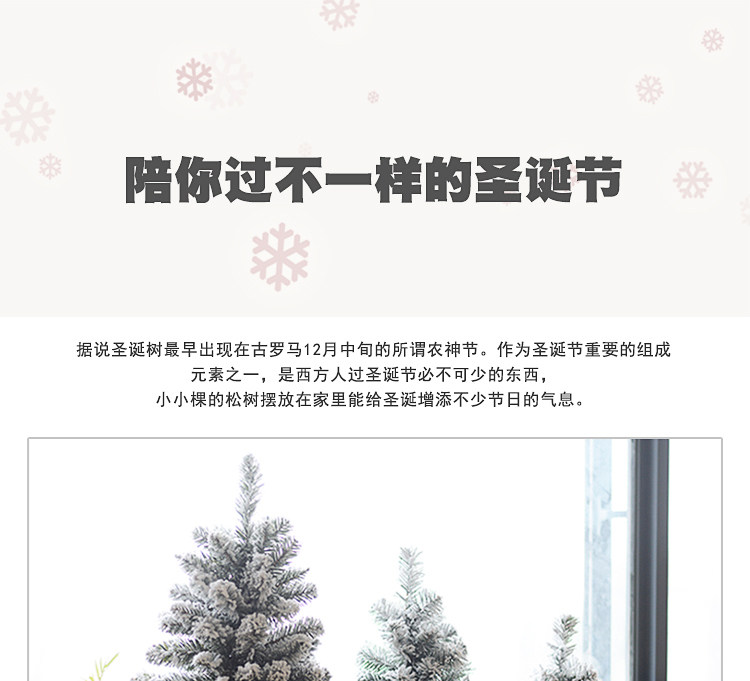 小圣诞树_01.jpg