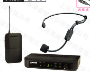 Shure shul SVX14 PGA31 wireless microphone