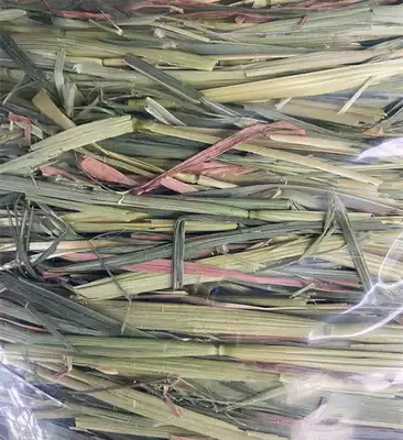 Spot Australia imported green oat grass Australian wheat one pressure two pressure pasture 500g five bags