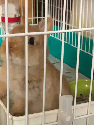 (Section) supplementary post fee