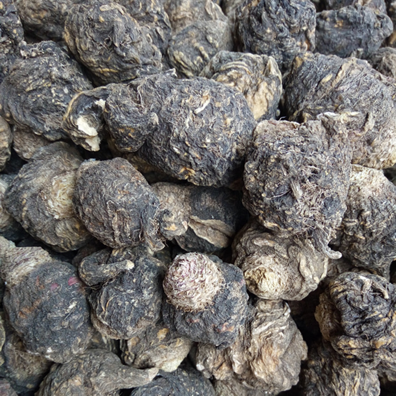 Yunnan Zhao Dad Lijiang Black Maca dried fruit Black Maca dried fruit dried slices free grinding slices