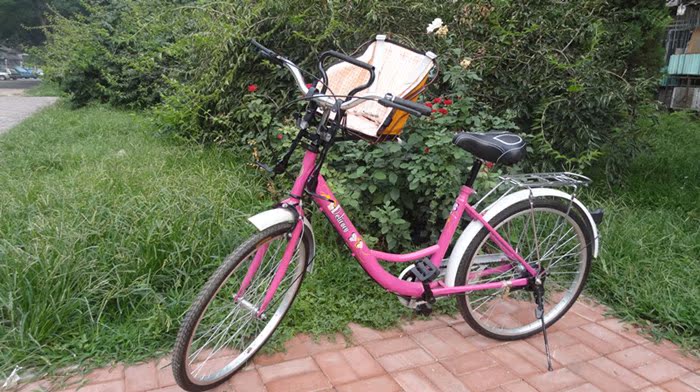 siège enfants pour vélo - Ref 2418031 Image 44