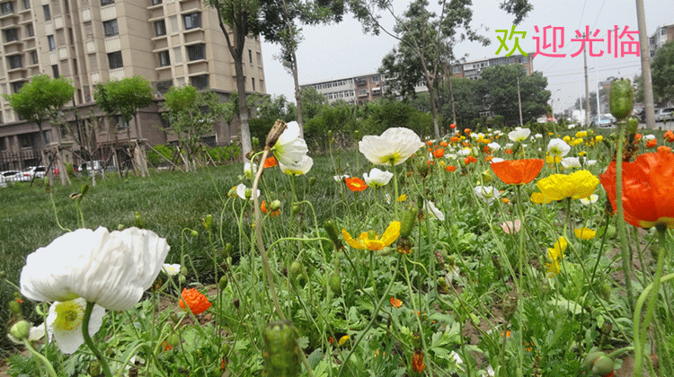 siège enfants pour vélo - Ref 2416416 Image 75