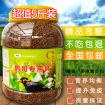 Wren farm Barrel feed Starling Wren bird feed Starling feed Starling feed Starling feed Starling feed Starling feed Starling feed Starling feed Starling feed Starling feed Starling feed Starling feed Starling feed Starling feed Starling feed