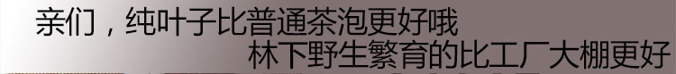 建林下金线莲干品叶子250克养生茶礼盒装