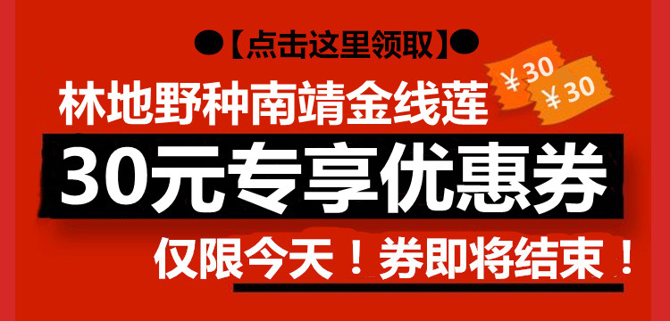 建林下金线莲干品叶子250克养生茶礼盒装