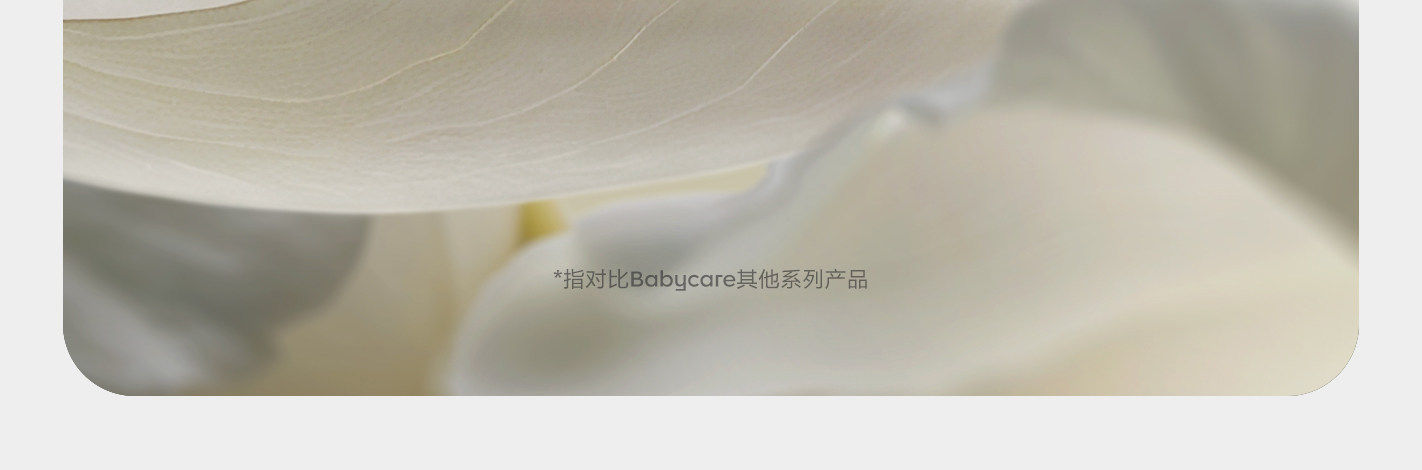 babycare金山茶花一次性内裤女款免洗日抛出差旅行高腰月子产妇 — 9