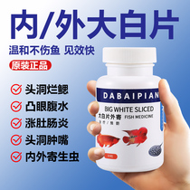 British large white fish medicine parrot fish enteritis internal and external parasites treatment of head cave dragon fish medicine ascites and protruding eyes