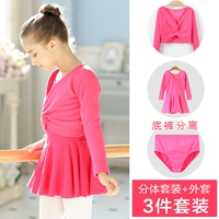 Комплект, раздельный лонгслив, утепленная куртка, 3 предмета