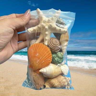 Steamed bun, starfish and sea urchin set meal, diy photo frame for kindergarten, conch and shell fish tank landscaping, hermit crab shell changing