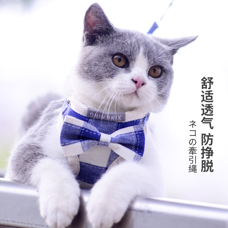 Walking cat rope cat traction rope anti breakaway anchor chain vest cat chest and back special cat walking artifact cat supplies
