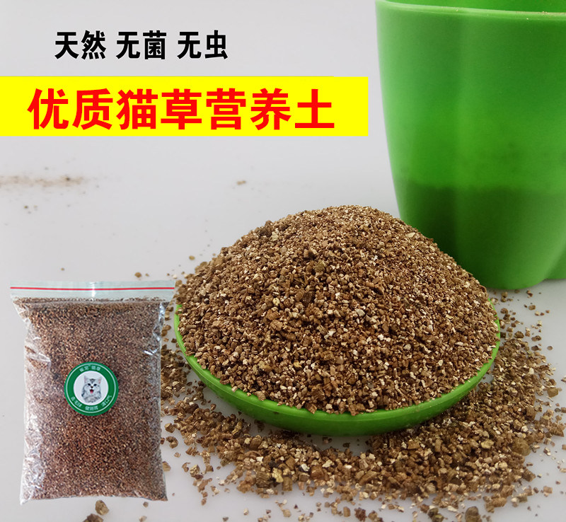 Cat grass nutritious soil Cat grass with natural organic soil nutrient soil planting flowers and grass nutrition soil cat grass special