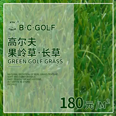 B C GOLF GOLF TURF Long Grass Swing Practice Mat Grass BC-8507 Green grass