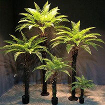 Simulation of New Zealand silver fern tree bonsai bonsai hotel shopping mall landscaping green plant fake tree decoration decoration fern