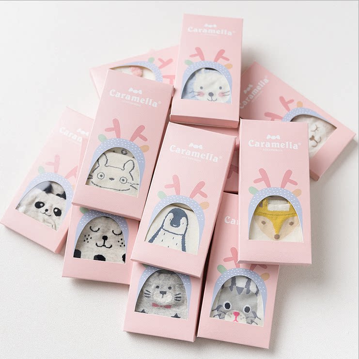 Spring Summer 2 Twin Dress Lady Invisible Boat Socks Gift Boxes Cartoon Animals AB Pair Socks Cotton Socks Teenage Socks Girlsocks