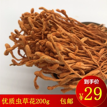 Caterpillar Fungus dried goods 200g Tgrade spore head selected North chrysalis Caterpillar Fungus to Cook Soup with Golden Caterpillar Fungus