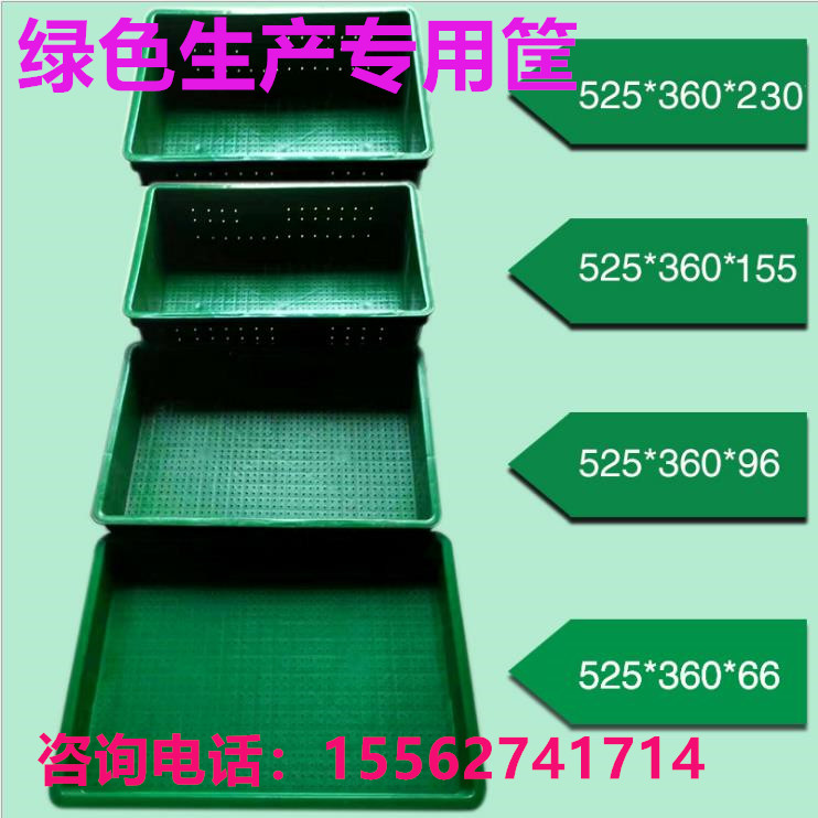 Sprouts Vegetable Green Production Special Basket Wheat Growing Pan peas Pea Fry 10 up for no-Taobao