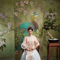 New Chinese style hand-painted peacock theme pure handmade painting art background cloth boutique background spray painted photo cloth