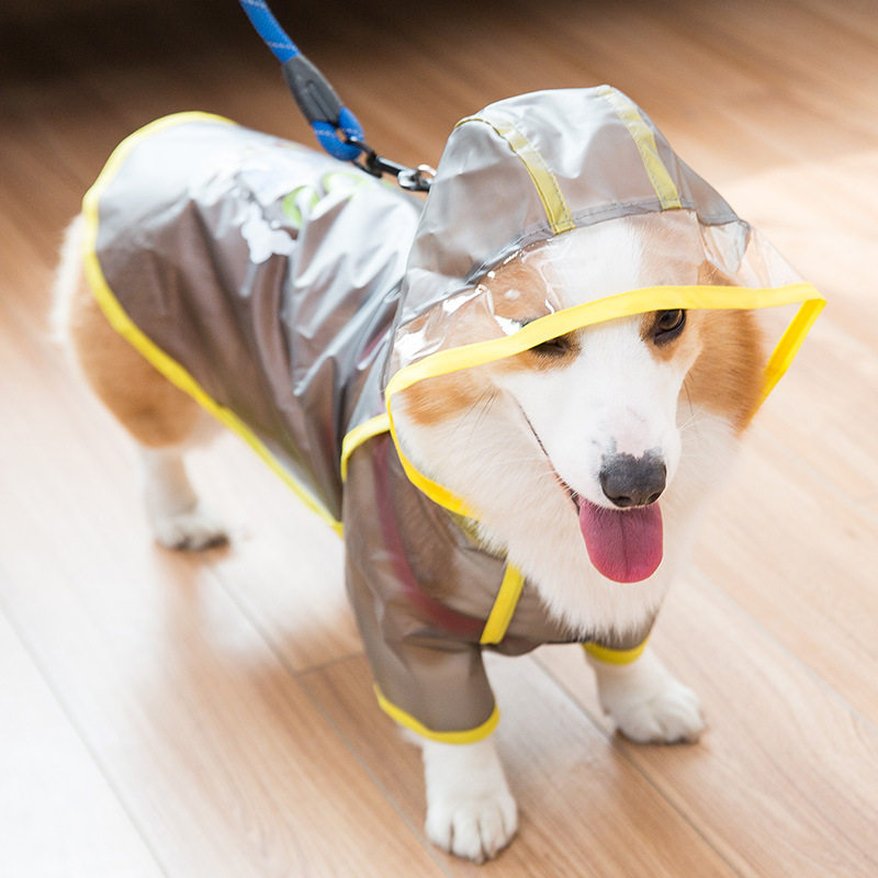 Corgi Raincoat Belly Protection Puppies Special Clothes Dog Waterproof Spring Autumn Spring Summer Puppy Bellyband Small Dog Umbrella