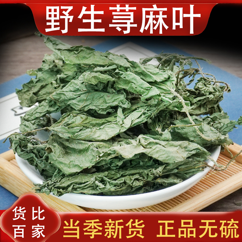 Wild Nettle Leaf Chinese Herbal Medicine Genuine Product 500g Nettle Grass Hemp Leaf Nettle Leaf Tea Nettle Leaf Wild Nettle Leaf Chinese Herbal Medicine Genuine Product 500g Nettle Grass Hemp Leaf Nettle Leaf Tea Nettle Leaf