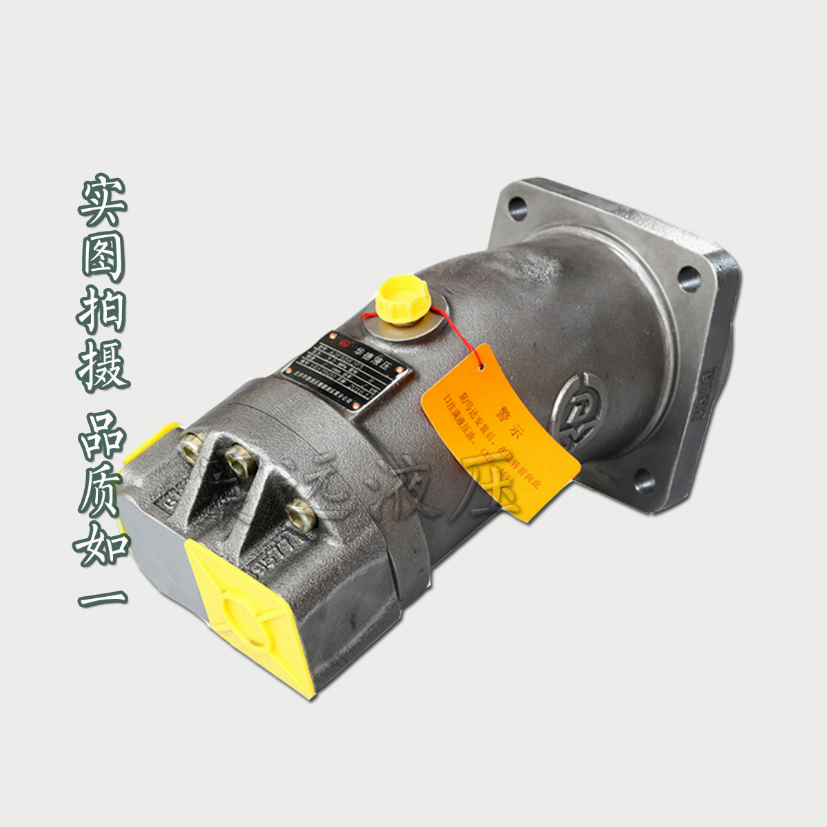 Guizhou Liyuan Huade oblique shaft type axial piston pump A2F107R2P3 A2F160R2P3 A2F117R2P2