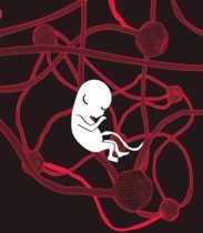 Your child is not your child. Classic hit high-scoring Taiwanese drama. Filmed and released immediately. Thank you for your support.