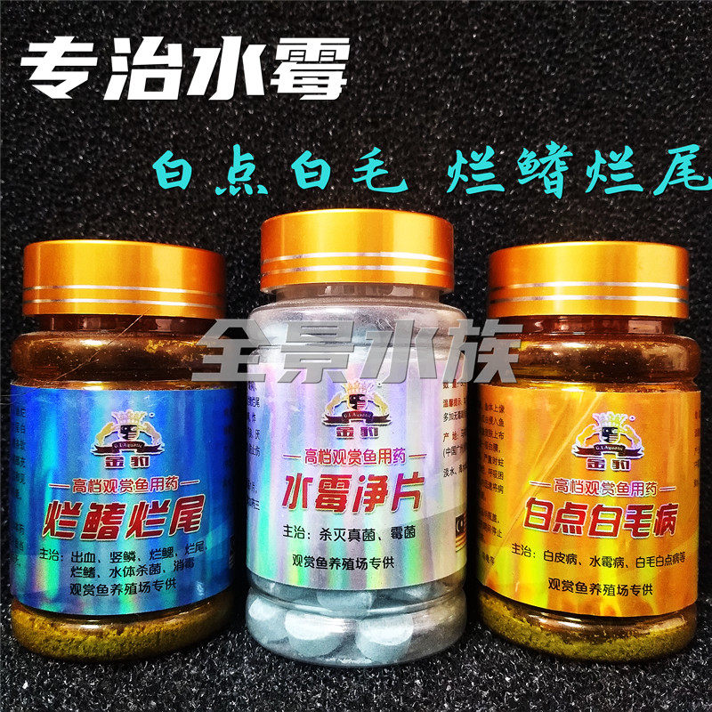 Golden Leopard White Dot White Hair Rotten Finishy Pink Tail Powder Moldy Net Parasite Hemorrhage Epiphyte Mycomold White Leather Blush