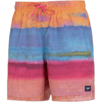 Speedo Speedo swimming trunks mens 24 summer new beach pants sports training shorts anti-embarrassment five-point pants