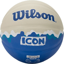 Wilson Basketball ICON Series Student Competition Training No. 5 Youth Indoor and Outdoor Rubber Balls