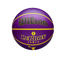 Wilson Wilson Basketball NBA Player Series Standard No. 7 Ball Basketball Indoor and Outdoor Universal Student Rubber Ball