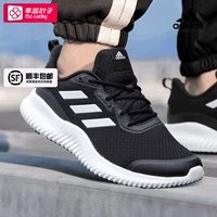 Черный/белый/алфакомфи