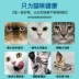 Thức ăn cho mèo 20 kg mèo thành mèo chung loại 10kg cá hồi Anh đẹp ngắn tai ngắn Xiêm Pudding Ba Tư thức ăn cho mèo Ba Tư - Cat Staples