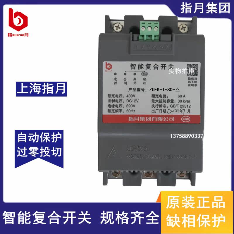 Zhiyue Group Capacitive Intelligent Composite Switch ZUFK-T-60A 80A 100A-△ 400V Switching Switch