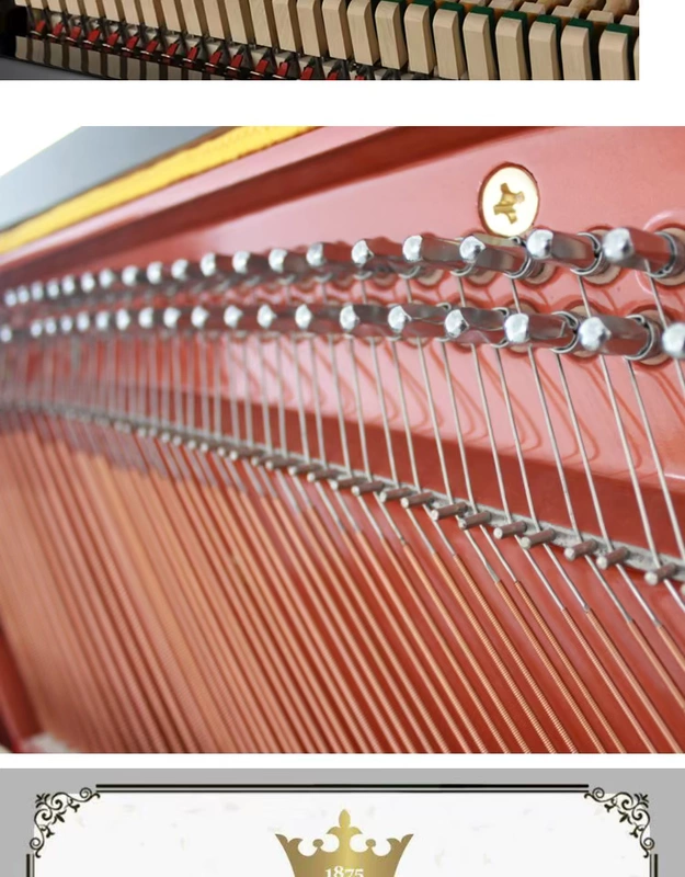 Đàn piano Wardson mới bắt đầu cho người lớn cơ học dọc truyền thống chơi piano cơ chuyên nghiệp W-125A5