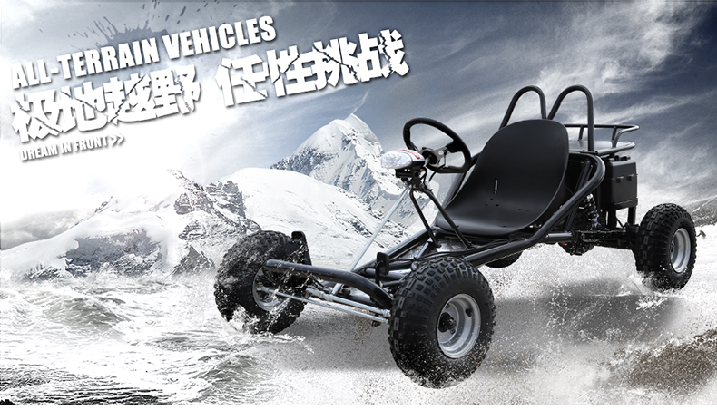 Dành cho người lớn sang trọng lớn đôi hai chỗ ngồi kart off-road ATV bốn bánh xe máy núi xăng xe máy