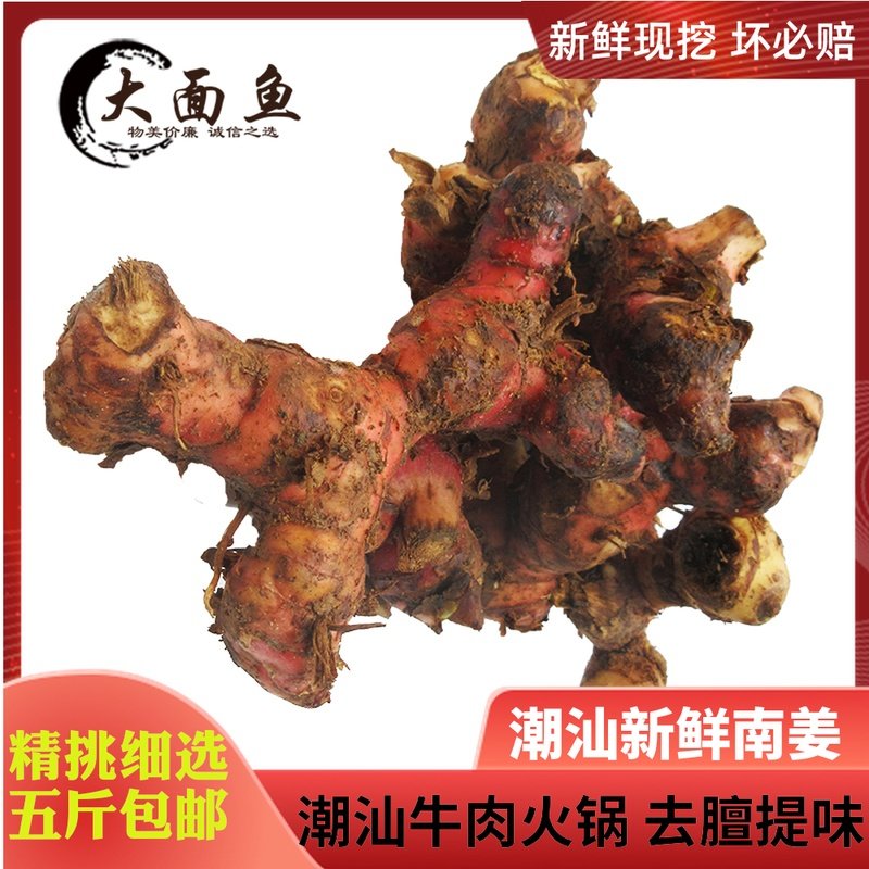 Chaoshan Fresh South Ginger 5 catty Loaded South Ginger block Shantou Beef Hot Pot Soup to Flavor Soup Base Ingredients