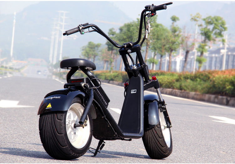 2021 Electric Bicycle Electric Car Battery City Harley Adult Double