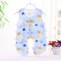 Сиамский слон Пипа на синем фоне