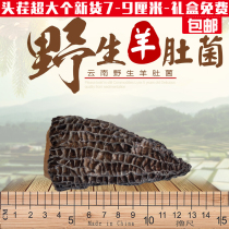 Yunnan cut-handle Morel dried goods 8-12cm oversized 100g wild morel morel mushroom soup non-500g